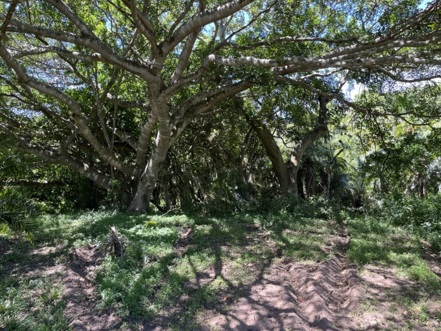 Commercial Property for Sale in Port Alfred Rural Eastern Cape